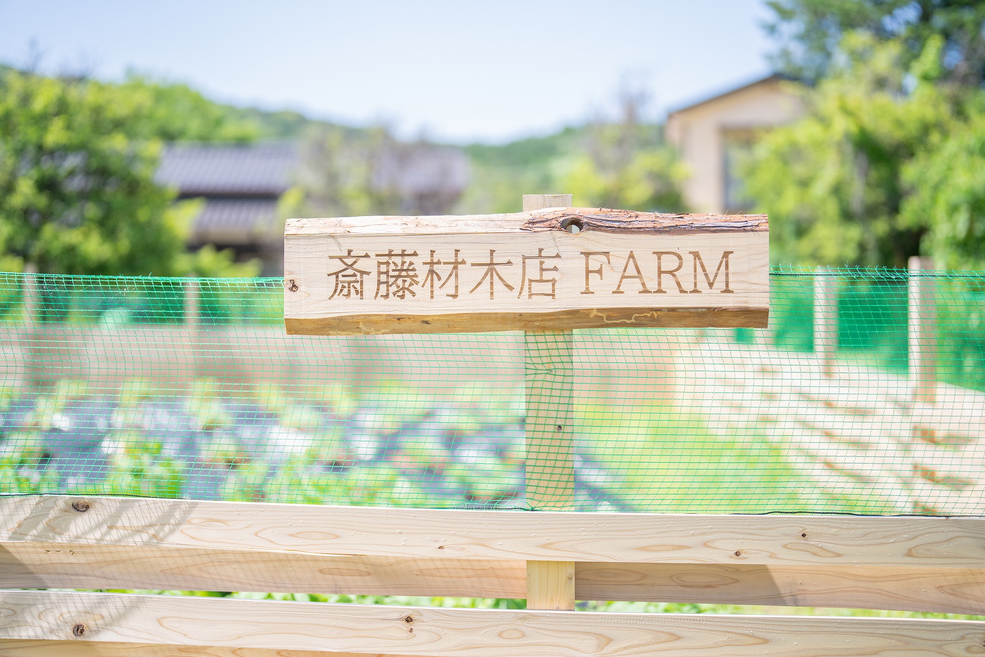左上画像
